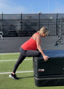 3rd trimester prenatal personal trainer in marina del rey